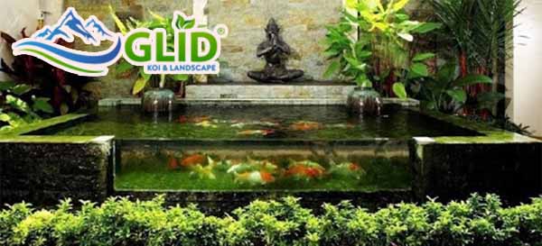 Lưu ý khi thiết kế hồ cá koi mini trên sân thượng