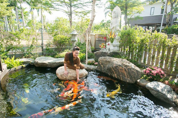 thi công hồ cá koi chuẩn