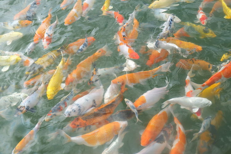 Thi công hệ lọc đúng kỹ thuật