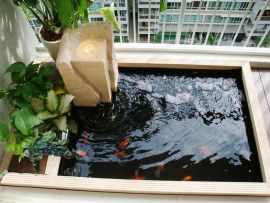 Thiết Kế Thi Công Hồ Cá Koi Sân Thượng Có Gì Độc Đáo?