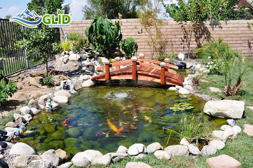 cách làm hồ cá koi mini ngoài trời 