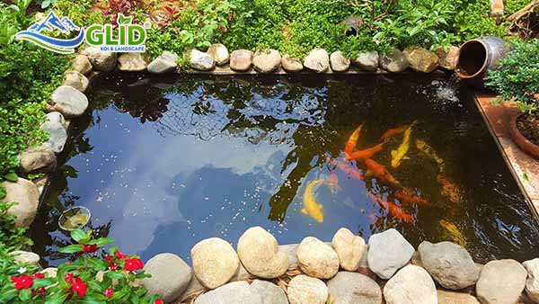 Bỏ túi cách thi công hồ cá koi trên mái
