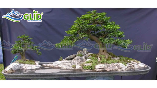 Ý tưởng thiết kế hòn non bộ 1m đẹp nhất