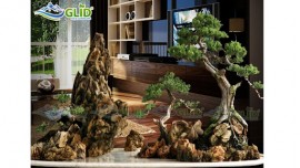Ý tưởng thiết kế hòn non bộ 1m đẹp nhất
