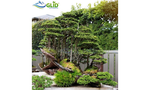Ý tưởng thiết kế hòn non bộ âm dương