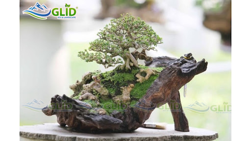 Hòn non bộ sân vườn mini đẹp
