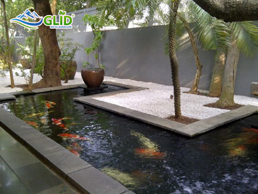 Vị trí và kích thước hồ koi mini có thật sự quan trọng