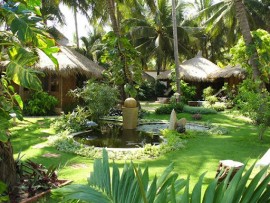 Thi công cỏ sân vườn cần lưu ý những điều gì