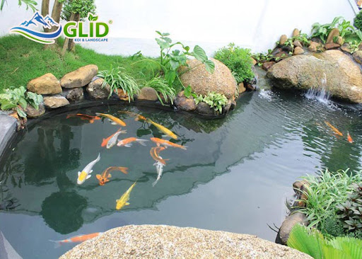 mẫu hồ cá koi mini ngoài trời đẹp nhất