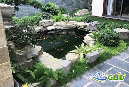 mẫu hồ cá koi mini ngoài trời đẹp nhất