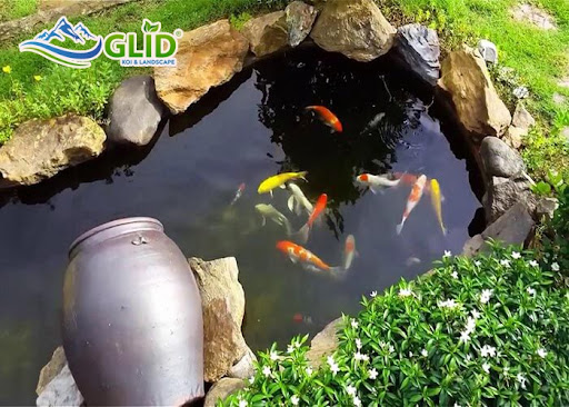 mẫu hồ cá koi mini ngoài trời đẹp nhất