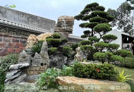 Thiết Kế Thi Công Hồ Cá Koi Thái Nguyên