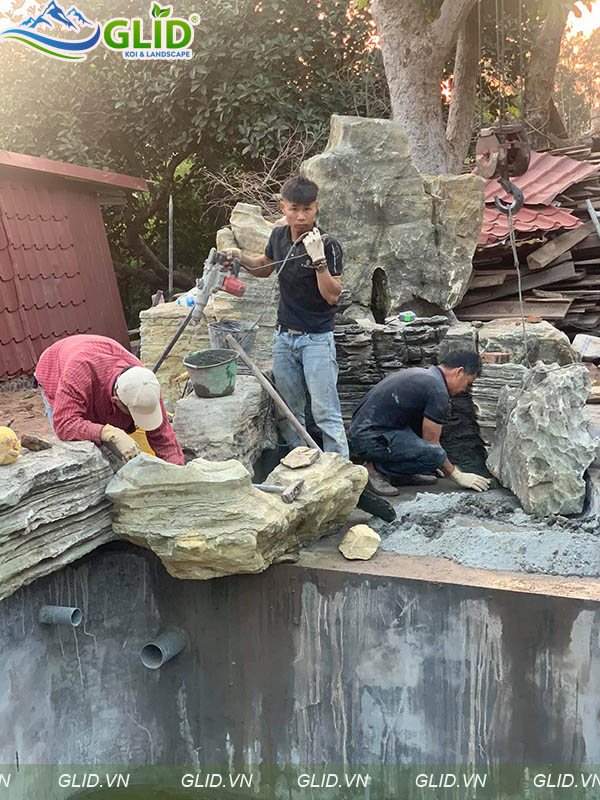 Thiết Kế hồ cá Koi Tuyên Quang