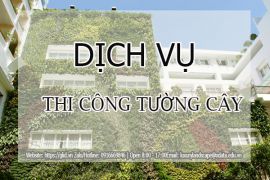 DỊCH VỤ THIẾT KẾ THI CÔNG TƯỜNG CÂY – VƯỜN TRÊN TƯỜNG