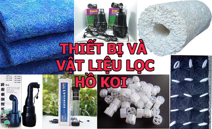 xây hồ cá koi - thi công hồ cá koi