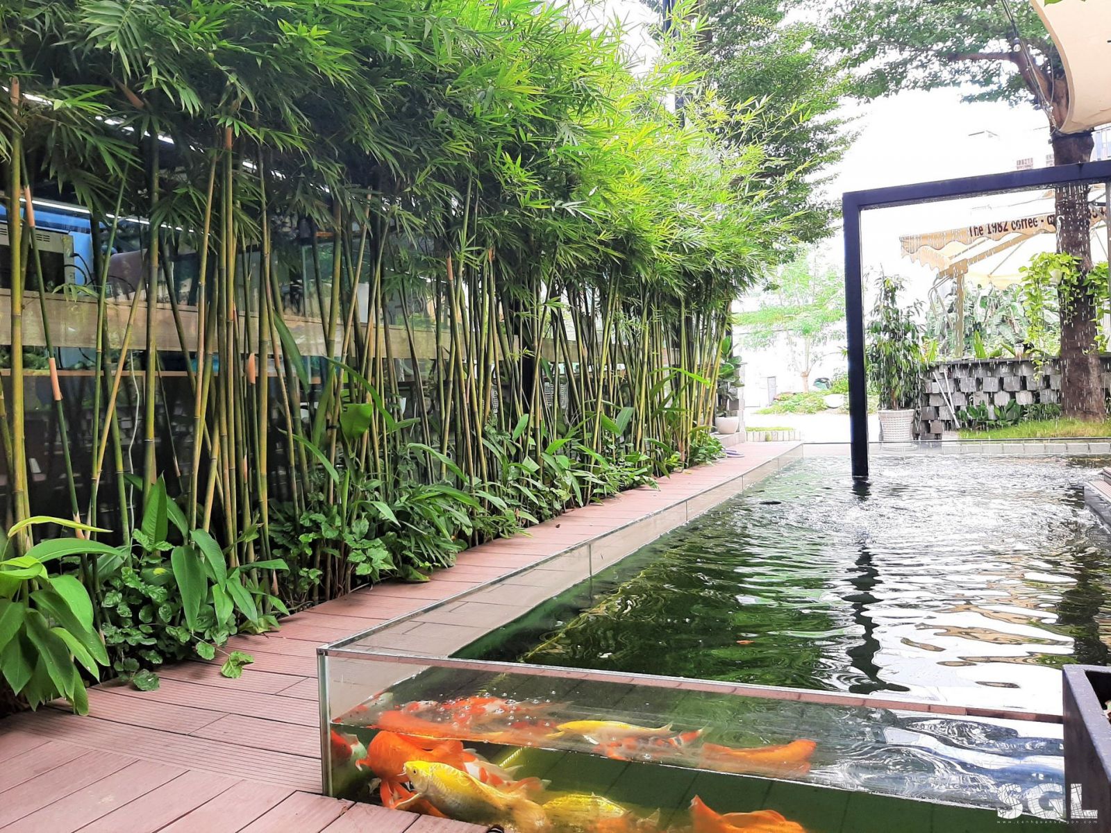 Nguyên tắc thi công hồ koi