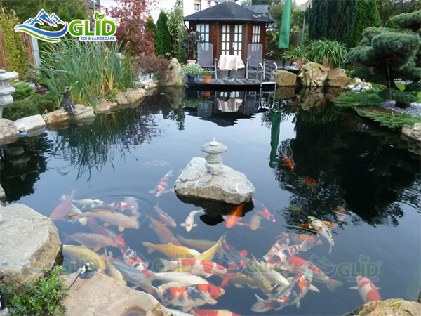 Thiết kế sân vườn hồ cá
