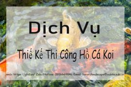 Dịch Vụ Thiết Kế Thi Công Hồ Cá Koi Nhật