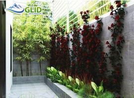 Thiết kế tiểu cảnh đẹp cho nhà ống 