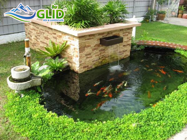 Tiểu cảnh hồ cá đẹp