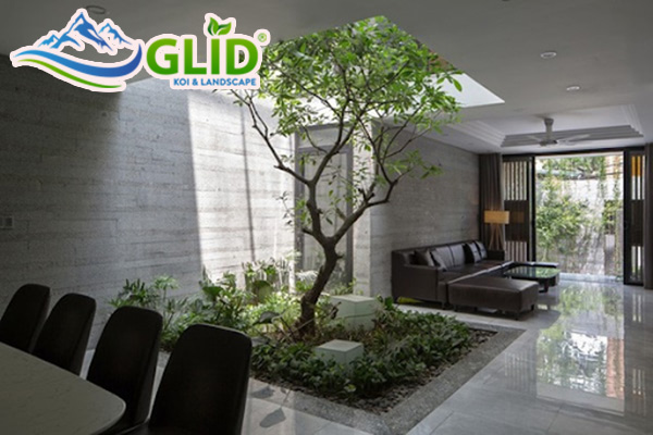 Các mẫu tiểu cảnh sân vườn trong nhà - Sang - Đẹp - Lạ