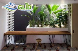 Cách thiết kế mẫu tiểu cảnh sân vườn trong nhà đẹp 