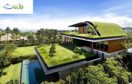Giải pháp kỹ thuật trồng cây trên mái bê tông tại Glid Landscape