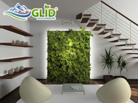 Những lợi ích khi có một tường cây trong nhà 