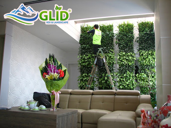 Những lợi ích khi có một tường cây trong nhà