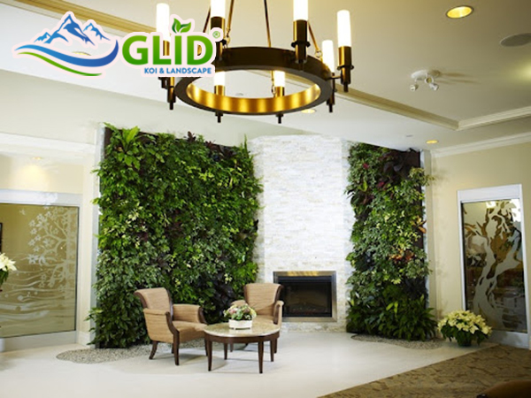 Những lợi ích khi có một tường cây trong nhà