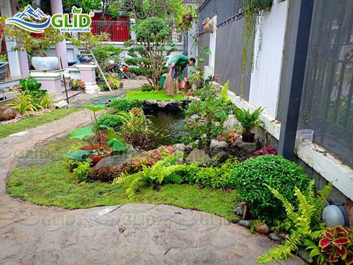 Không gian vườn tiểu cảnh mini khơi dậy sức sống cho ngôi nhà của bạn