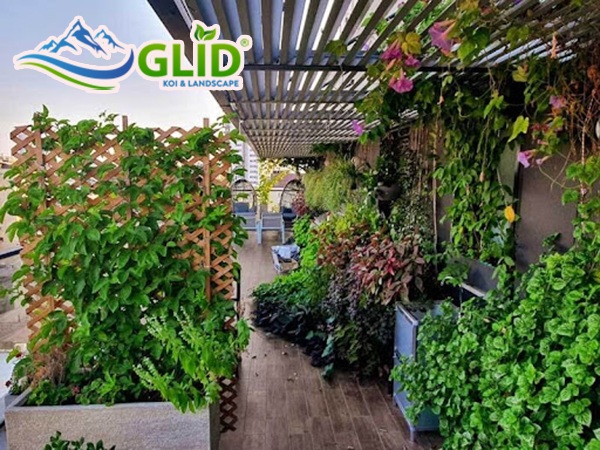 Vườn trên nóc nhà, thú chơi đang được yêu chuộng tại các thành phố lớn