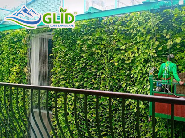 Vườn trên tường là gì? Lợi ích vườn trên tường mang lại 