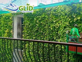 Vườn trên tường là gì? Lợi ích vườn trên tường mang lại 