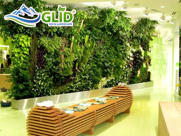 Vườn trên tường là gì? Lợi ích vườn trên tường mang lại 
